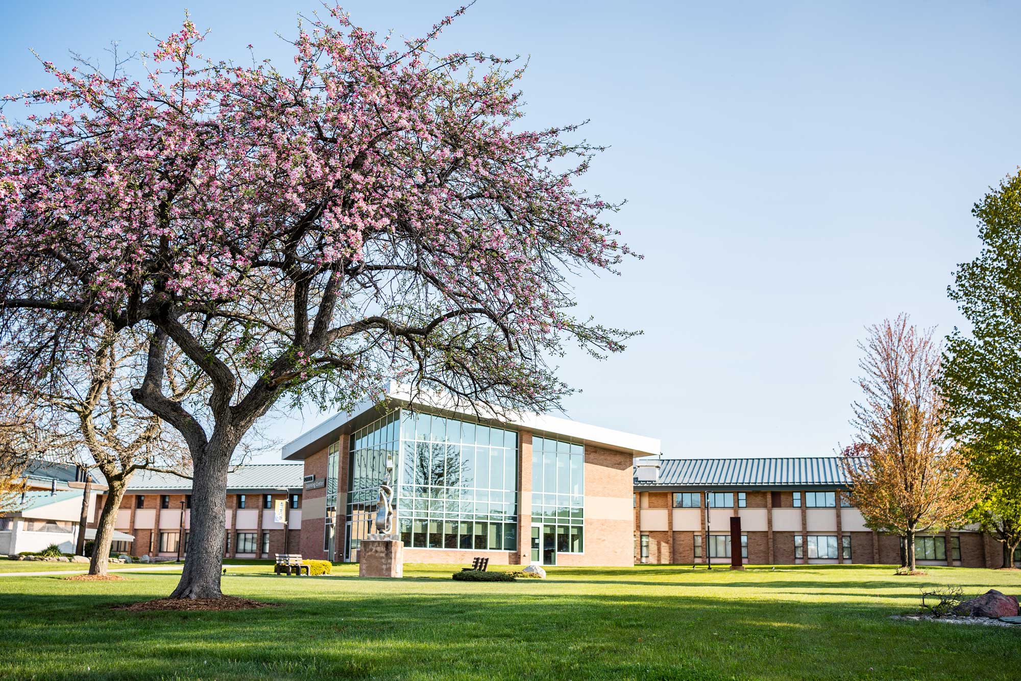 Springtime on campus