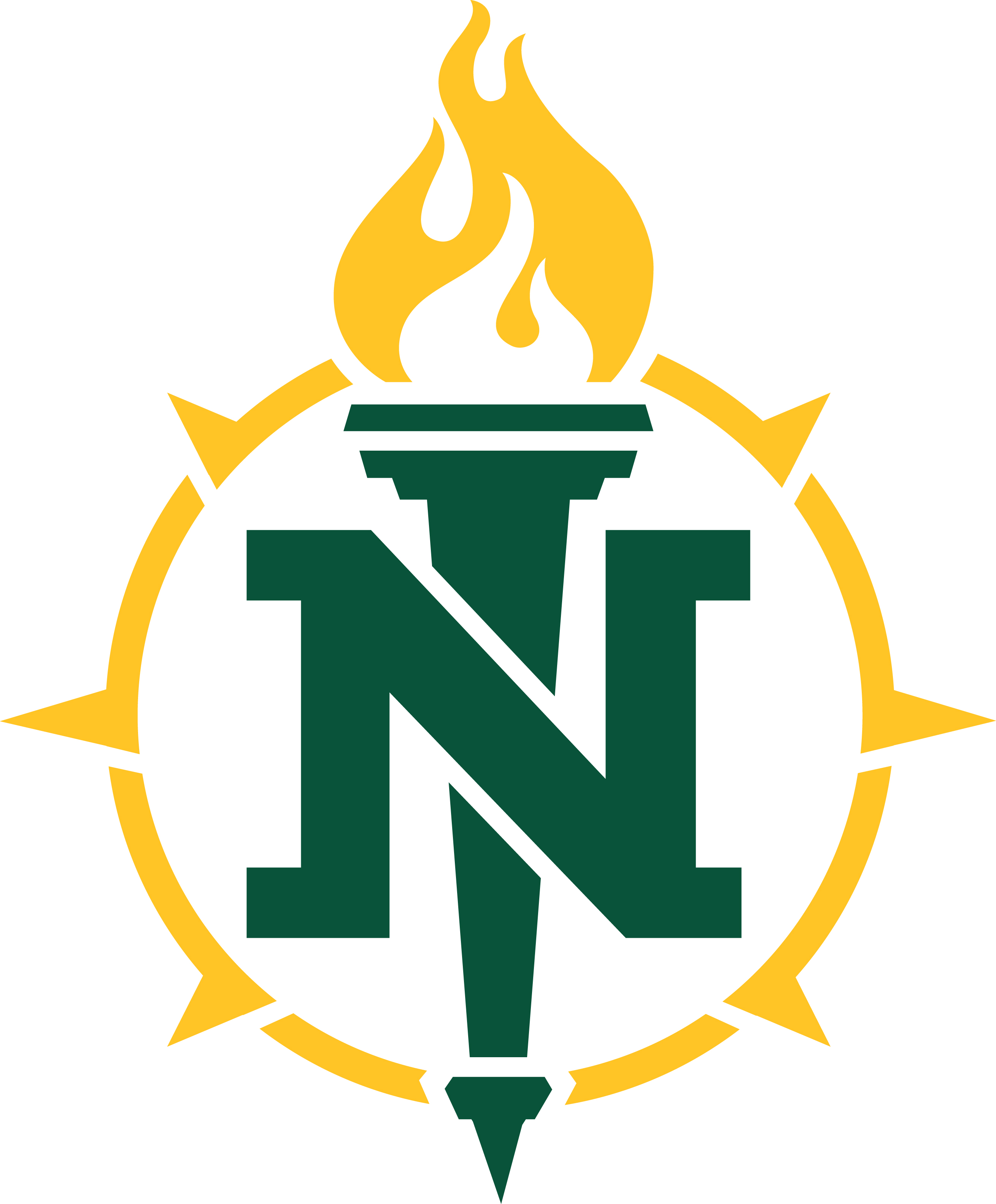 NMU logo