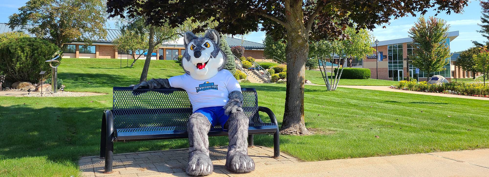 Timberwolf mascot sitting on a bench