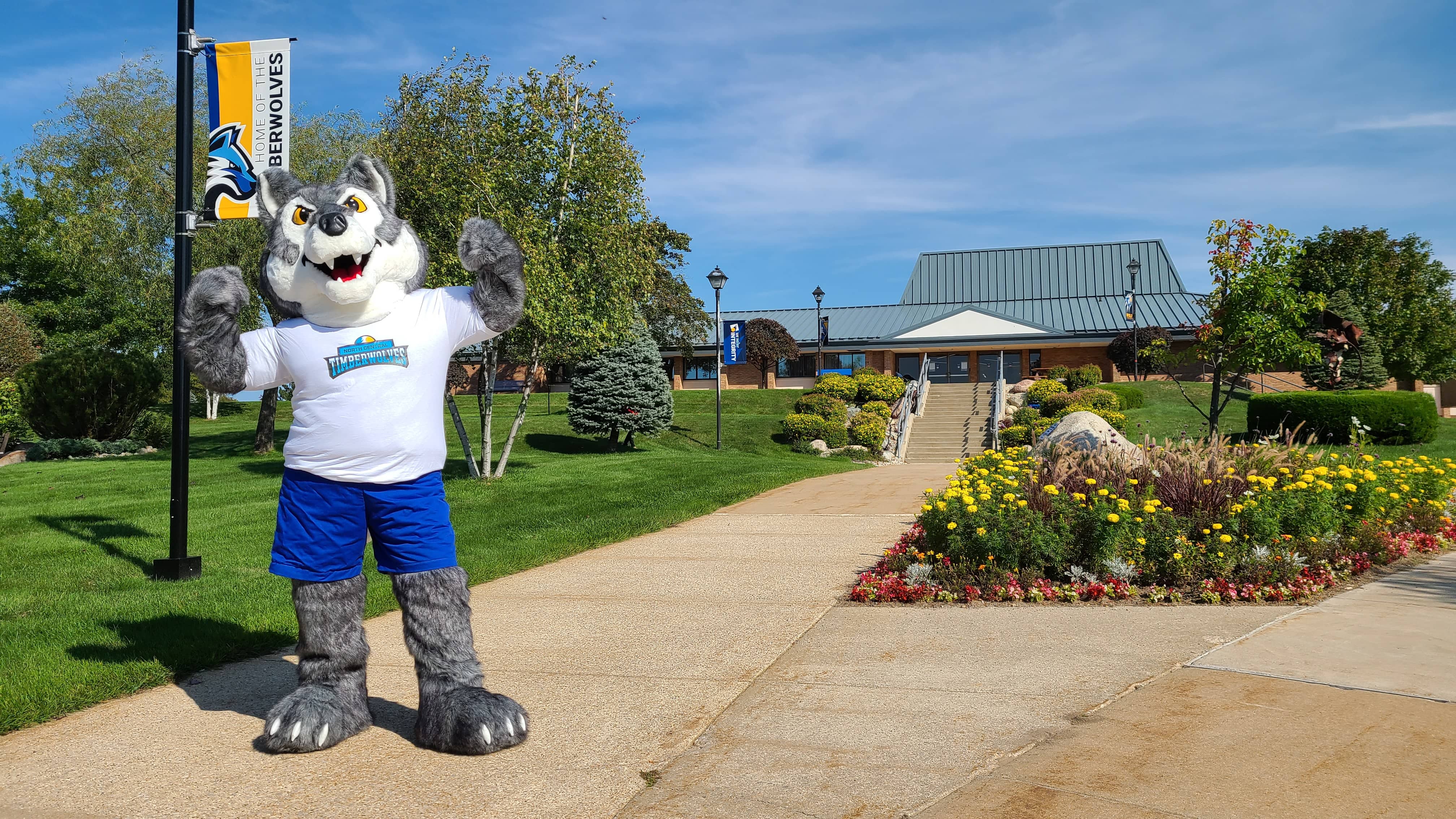 Timberwolf mascot flexing