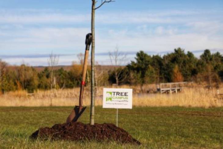 New tree with Tree Campus sign
