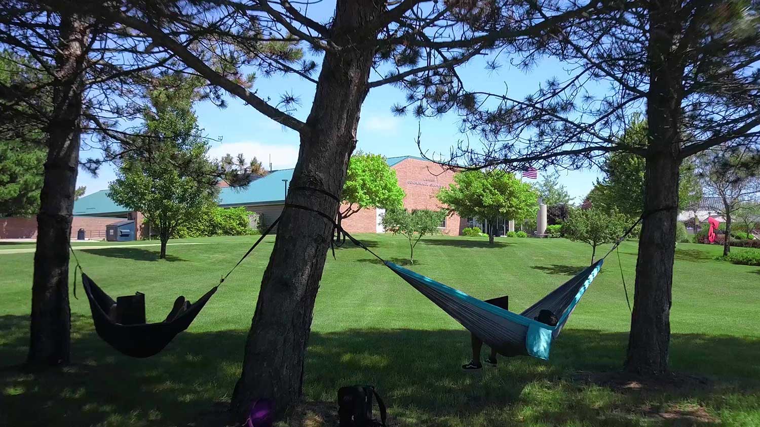 Students relaxing in hammocks on campus