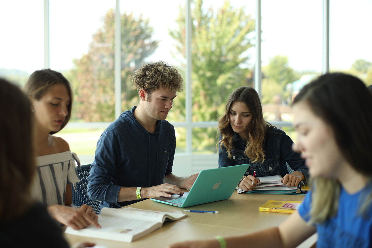 Students studying